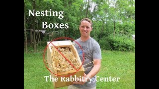 Stop Using Nesting BoxesRabbitsPart 1 [upl. by Yerffeg565]