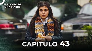 El Llanto De Una Madre  Capitulo 43 Completo [upl. by Snah]