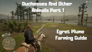 RDR2  Duchesses And Other Animals Part 1  Egret Plume Guide [upl. by Noreg]