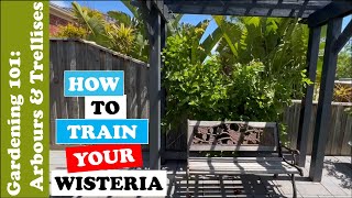 How to Train your Wisteria  Simple amp Easy [upl. by Mail340]