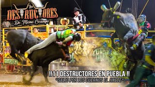 11 DESTRUCTORES EN PUEBLA  EL JINETE SALIÓ POR LOS CUERNOS  En Santa Cruz El Molino Pue 2024 [upl. by Atnahsal]