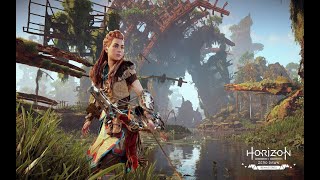 Horizon zero down  Buscando a Platina [upl. by Lyudmila865]