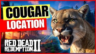 Cougar Location RDR2 Online [upl. by Hsilgne]