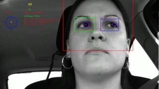 Driver Drowsiness Detection System [upl. by Enuahs358]