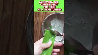 Secrets of Making Aloe Vera Gel at Home diy antiaging [upl. by Bitthia]