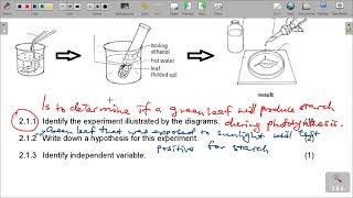 GRADE 8 NATURAL SCIENCES END OF TERM 4 EXAM SCOPE [upl. by Enajharas]