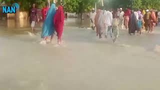 Maiduguri residents going back to the homes in Gwange Gomari wards and Lagos street [upl. by Florencia767]