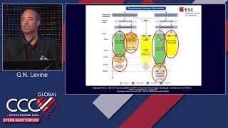 Revascularization and DAPT Guidelines Update and Future Perspective  Dr Levine [upl. by Yrroc255]