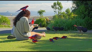 Birds of OReillys Queensland Sony A6700 4K [upl. by Annij418]