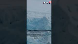 Shorts  Massive Calving As William Glacier Disintegrates In Antarctica  Viral Video  News18 [upl. by Oigaib]