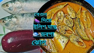 বেগুন 🍆 দিয়ে ইলিশ মাছের ডবগা ঝোল hilsa fish সর্ষে ইলিশ [upl. by Aetnahc897]