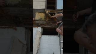 Tearing Down a Rotted Wall construction [upl. by Eibrik876]