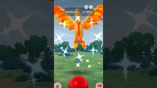 🤯😲worlds first SHINY GALARIAN MOLTRES caught in pokemon go [upl. by Mcgee]