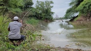 Best Hook FishingCatching The Rohu Fishes In Big Single Hook GalRohu FishingUnique Fishing Video [upl. by Nonnair]