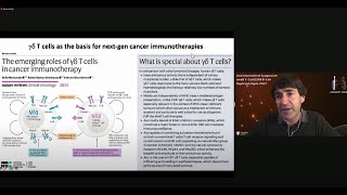 The Importance of GammaDelta T Cells [upl. by Ardnaik]