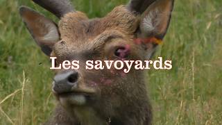 Les savoyards [upl. by Reteid]