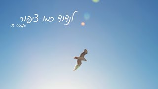 לנדוד כמו ציפור  אמיר חי [upl. by Nonahs]