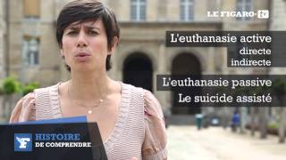 Histoire de comprendre  L’euthanasie [upl. by Aloisius]