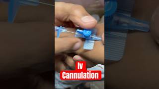 Iv cannulation cannula ivtherapy mbbs aiims SMpharmacy subscribe medicalequipment [upl. by Eiramoj]