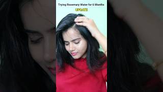 Viral Rosemary Water Spray 6 Months Update shorts rosemary hairgrowth hairfall viral haircare [upl. by Nolte691]