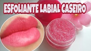 ESFOLIANTE LABIAL CASEIRO  FÁCIL DE FAZER  Lábios Lisinhos e Super Hidratados [upl. by Yruj]