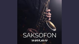 Saksofon Remix [upl. by Fleisig]