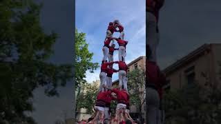 Castellers de Barcelona 4 de 7  Diada de Cardedeu 2024 [upl. by Pauly]