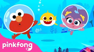 Baby Shark with Sesame Street  Baby Shark Song Compilation  Pinkfong Kids Song [upl. by Bekah138]