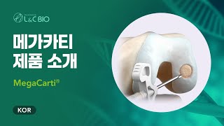 메가카티 MegaCarti 제품 소개 [upl. by Neelrac]