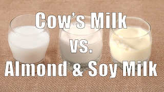 Cows Milk vs Almond amp Soy Milk Home Cooking 101 DiTuro Productions [upl. by Enyamrahs225]