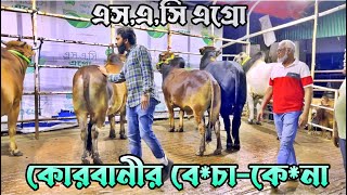 SAC Agro বেচাকেনা কোরবানী ঈদ এর জন্যে। [upl. by Demha]