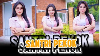 DJ SANTRI PEKOK  Genduk Denok Santri Lulusan Pondok  KELUD TEAM OFFICIAL REMIX [upl. by Alano]