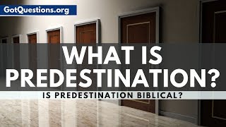 What is Predestination  Predestination in the Bible  GotQuestionsorg [upl. by Nickerson360]