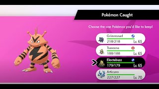 Shiny Electabuzz  Pokemon Sword And Shield [upl. by Ellinnet]