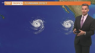 Fujiwhara Effect Heres what could happen when two hurricanes collide [upl. by Oiramat]