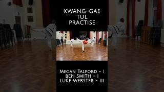 KwangGae Tul Practise taekwondo martialarts practice sports progress blackbelt kwanggae [upl. by Francesca]