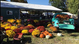 Special preview of the annual Lucketts Fall Market [upl. by Aiekram29]