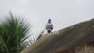 Canon SX620 HS zoom test by Geekyiyer [upl. by Marsiella]