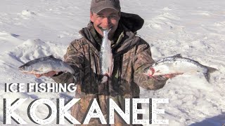 ICE FISHING KOKANEE SALMON Catch Clean Cook Blackened style Eleven Mile Reservoir CO [upl. by Rand]