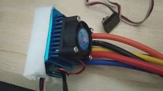 Upgrade Firmware Clone Xerun 120A  Esc biru turbo 120A  ESC Trex Rm120 [upl. by Anirehtak]