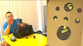 Evanix AR6 Hunting Master 22 Cal  25 ft Shooting Review [upl. by Cello]