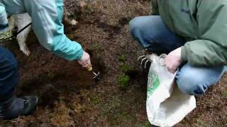 Oregon Truffle Festival  Truffle Dog Training Seminar [upl. by Basil]