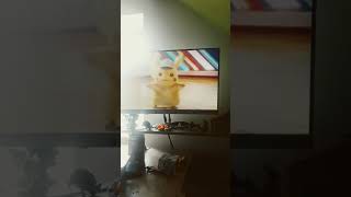 pikachu dance [upl. by Ajim]