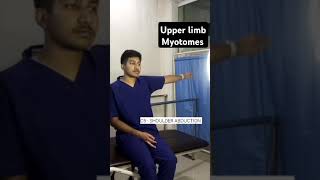 Upper limb Myotomesyoutubeshortsphysiotherapytreatment [upl. by Eerehc]