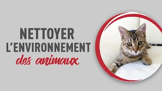 Quel produit utiliser pour nettoyer lenvironnement de vos animaux [upl. by Sully12]