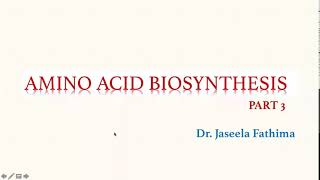 Amino acid Biosynthesis Part 2 [upl. by Ilellan]