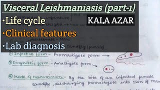 Kala azar part1  Visceral Leishmaniasis  Life cycle  Clinical features  Lab diagnosis [upl. by Sharyl116]