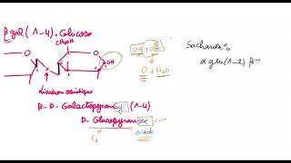 Biochimie Structurale Révisons Partie 02 Glucides 2em Biologie [upl. by Messere]