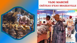 VLOG CONGO BRAZZAVILLE [upl. by Vaules568]