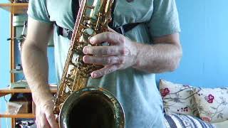 Yanagisawa tenor saxophone T500 [upl. by Neik]